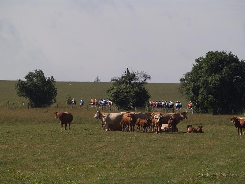 2007-06-23_Farm_Tour_Hlubocec_037.jpg