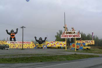 P1000062