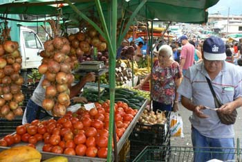 P1000881