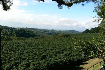 P1000908