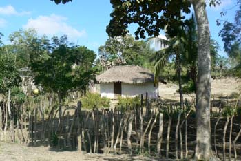 P1010149