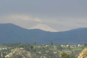 P1010338