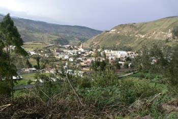 P1010361